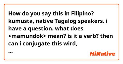what you mean in tagalog|How To Say 'What' in Tagalog .